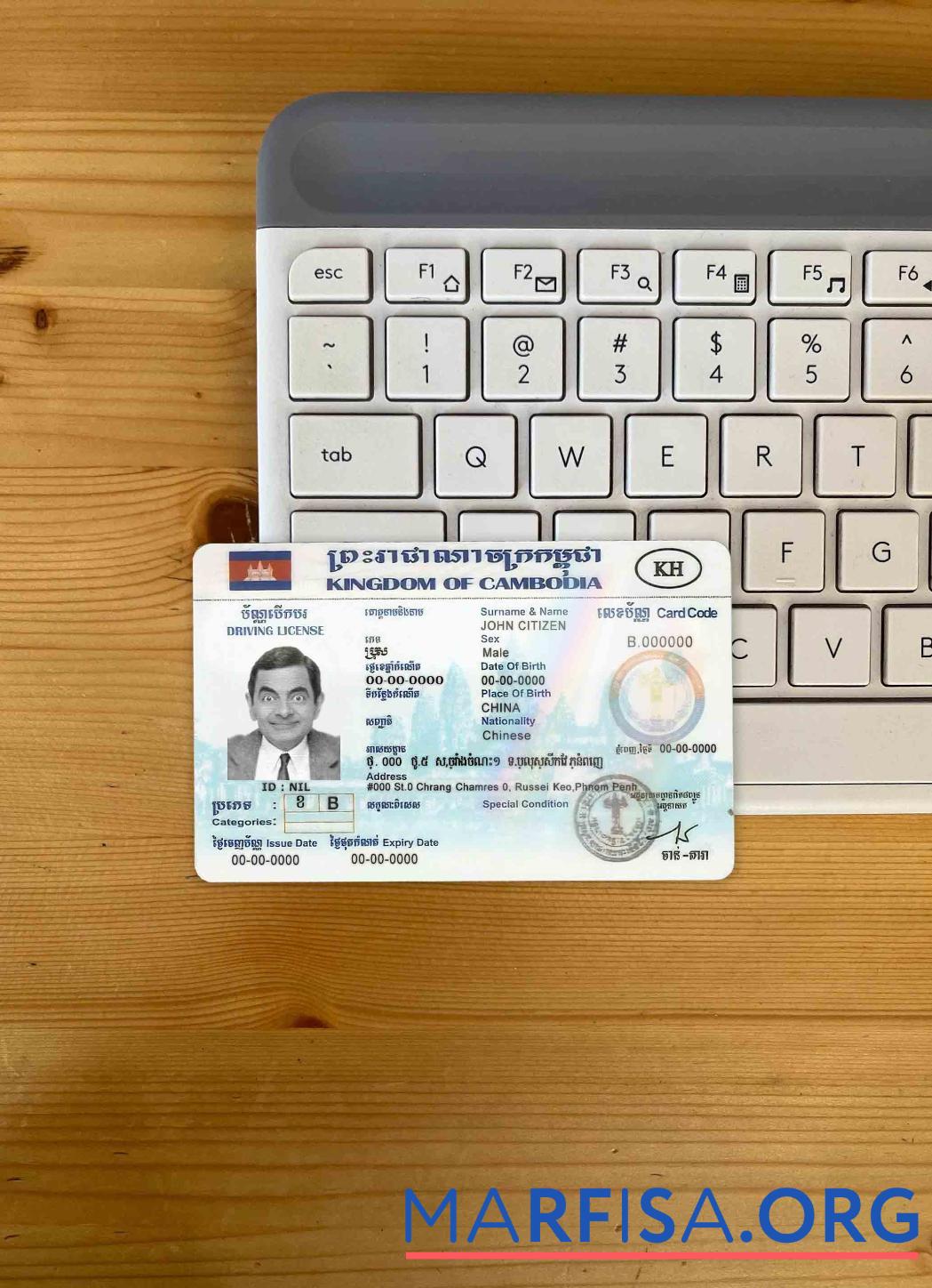 Downloadable Cambodia DL photolook real example